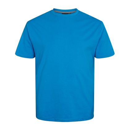 T-shirt grande taille pour homme Allsize - Hommefort